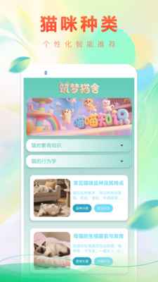 筑梦猫舍