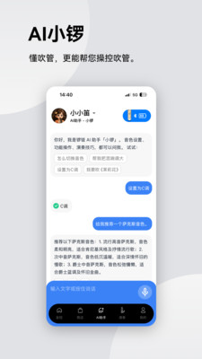 锣钹电吹管