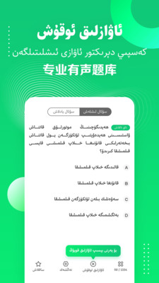 Pirawa-桥梁驾考