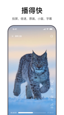 迅雷浏览器-在线看视频小说