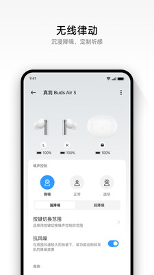realme Link