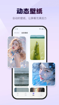 Wonder Widget