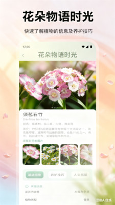 花朵物语-幸福花开