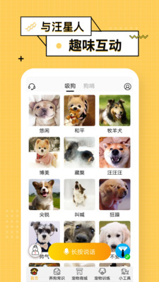 狗语翻译器