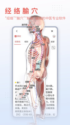 3Dbody解剖-体积小，电脑端同步