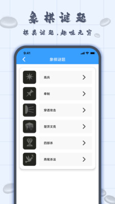 国际象棋双人
