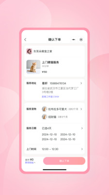 灰耳朵陪宠