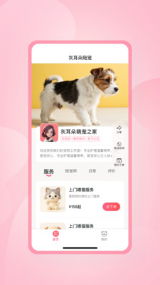 灰耳朵陪宠