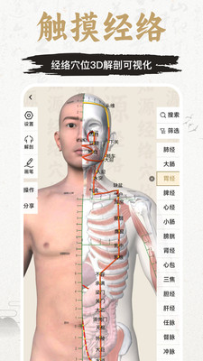 知源经络穴位-中医针灸按摩养生