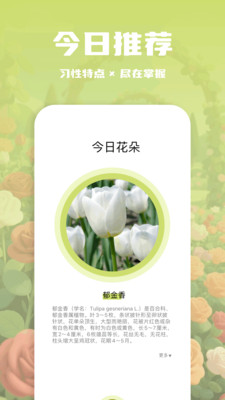 识别花全能
