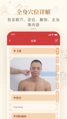 人体穴位图解-经络穴位医学图谱