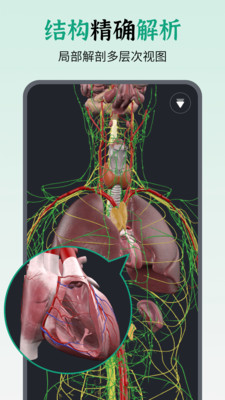 万康人体解剖-3D解剖