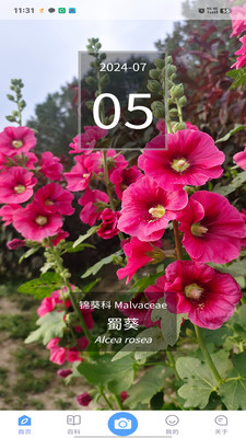 花伴侣专业版-植物智