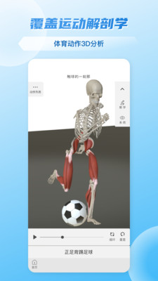 维萨里3D解剖-3D人体解剖图谱