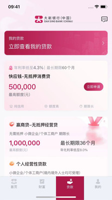 大新银行中国