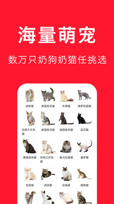 宠物宝-一站式宠物服务平台