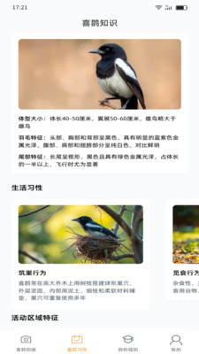 喜鹊福星