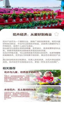 花朵物语