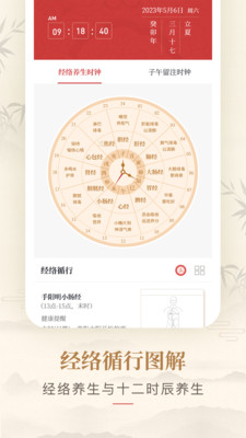 人体穴位图解-经络穴位医学图谱