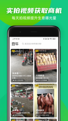 豆牛