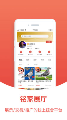 搜鸽天下-赛鸽头条重磅升级