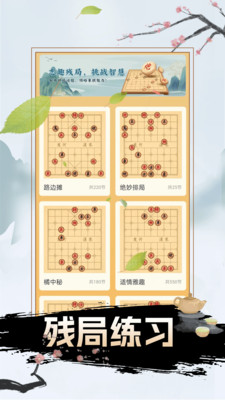 将棋-中国象棋大师残局