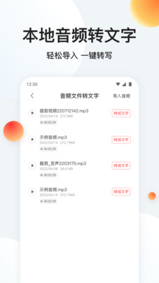 录音专家转文字