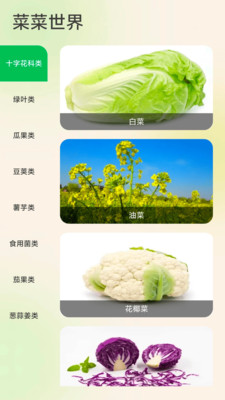 白菜盒子