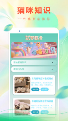 筑梦猫舍