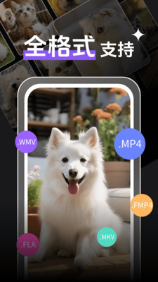 私人观影播放器player