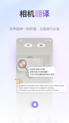 ViiTor实时翻译