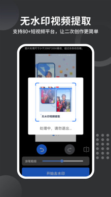 视频去水印帮手