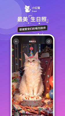 小红猫 -宠物AI高奢写真