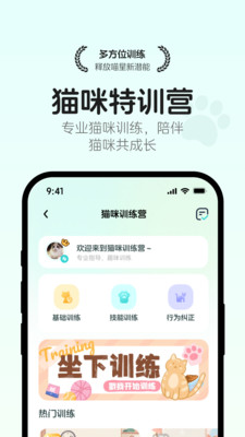 猫语翻译空间-改善猫咪情绪睡眠
