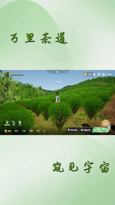 卿卿云采