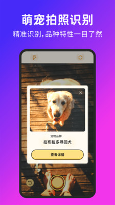 喵汪宠物猫狗翻译器