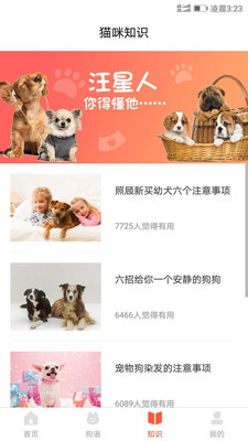 狗语翻译