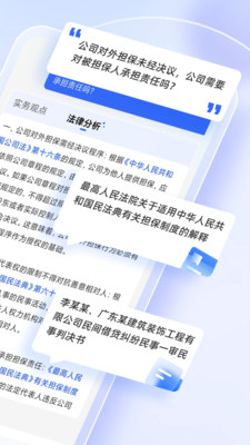 法智