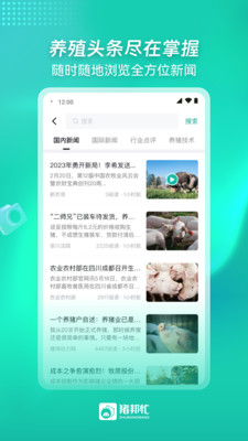 猪邦忙
