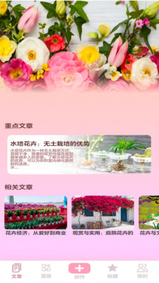花朵物语