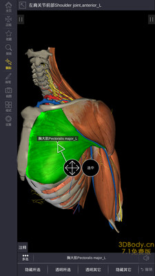 医疗与健康 3dbody解剖 分类:医疗与健康| 支持:手机 ( 0次评分 )