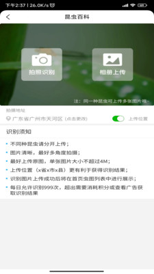 昆虫百科