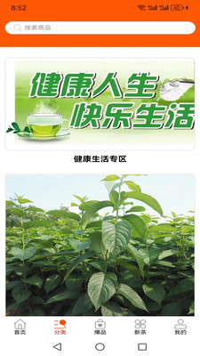 本源汇