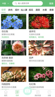东篱花草