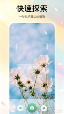 花朵物语-幸福花开