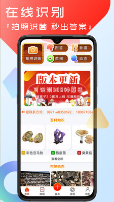 菌窝子-蘑菇识别