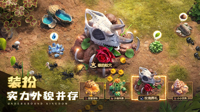 小小蚁国-超快发育版
