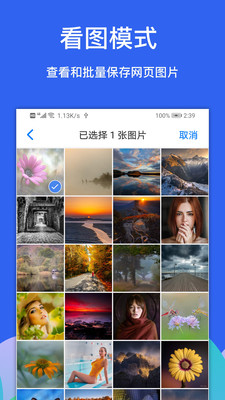 Alook浏览器-8倍速
