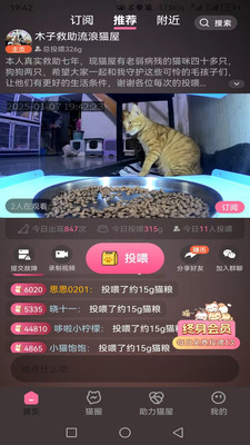 途猫-途猫关爱流浪动物