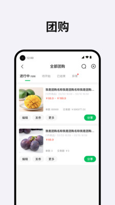 团满满